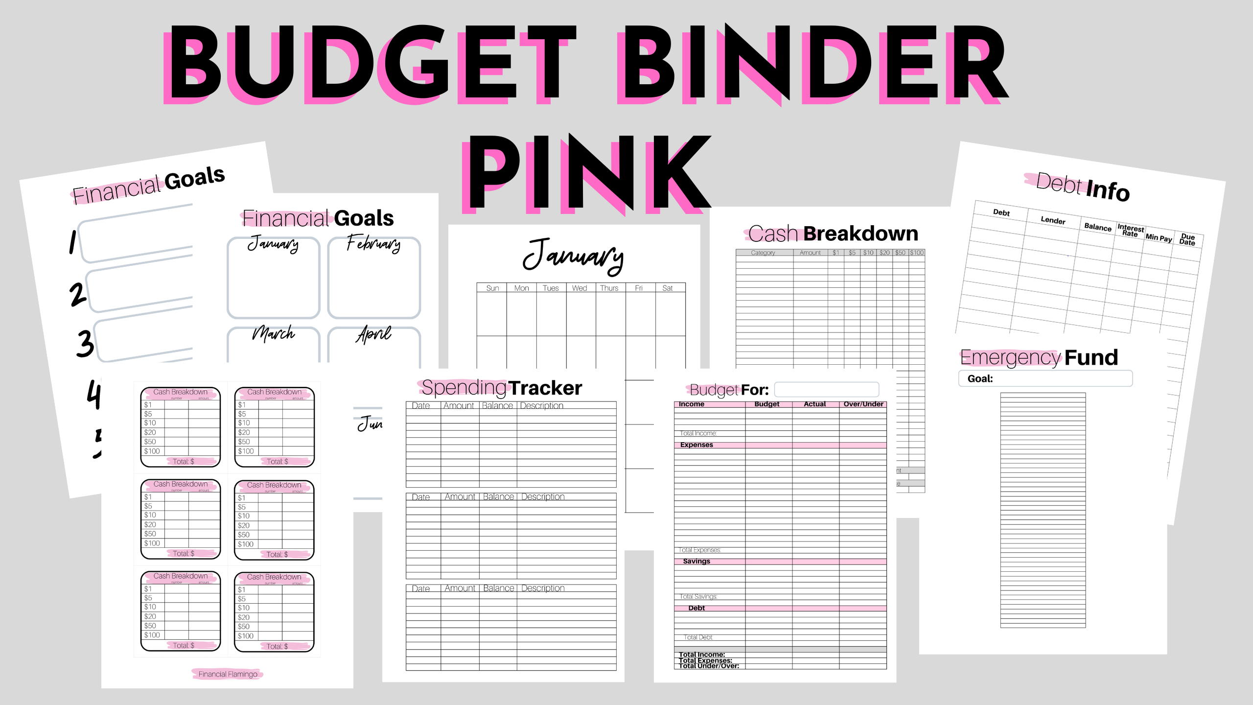 Complete Budget Binder PINK